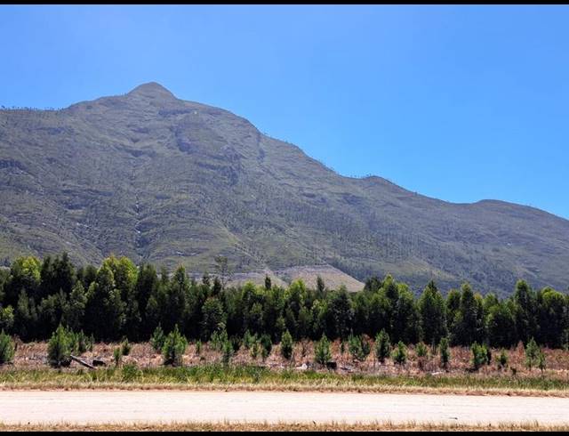 FARM FOR SALE IN TSITSIKAMMA